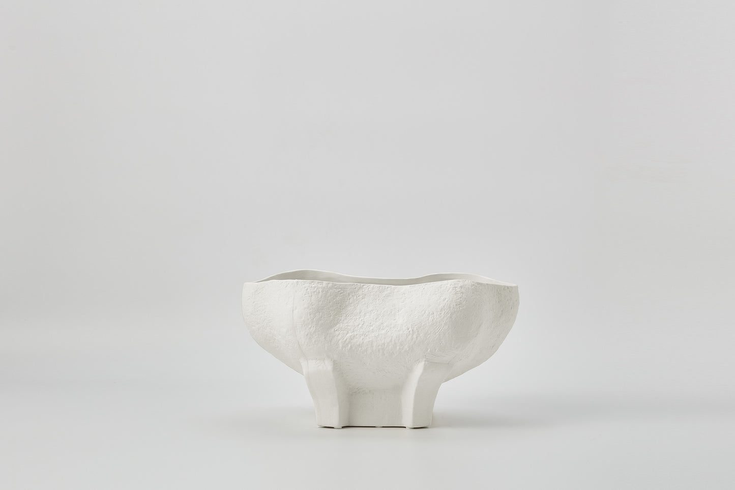 Conch Bowl Ivory