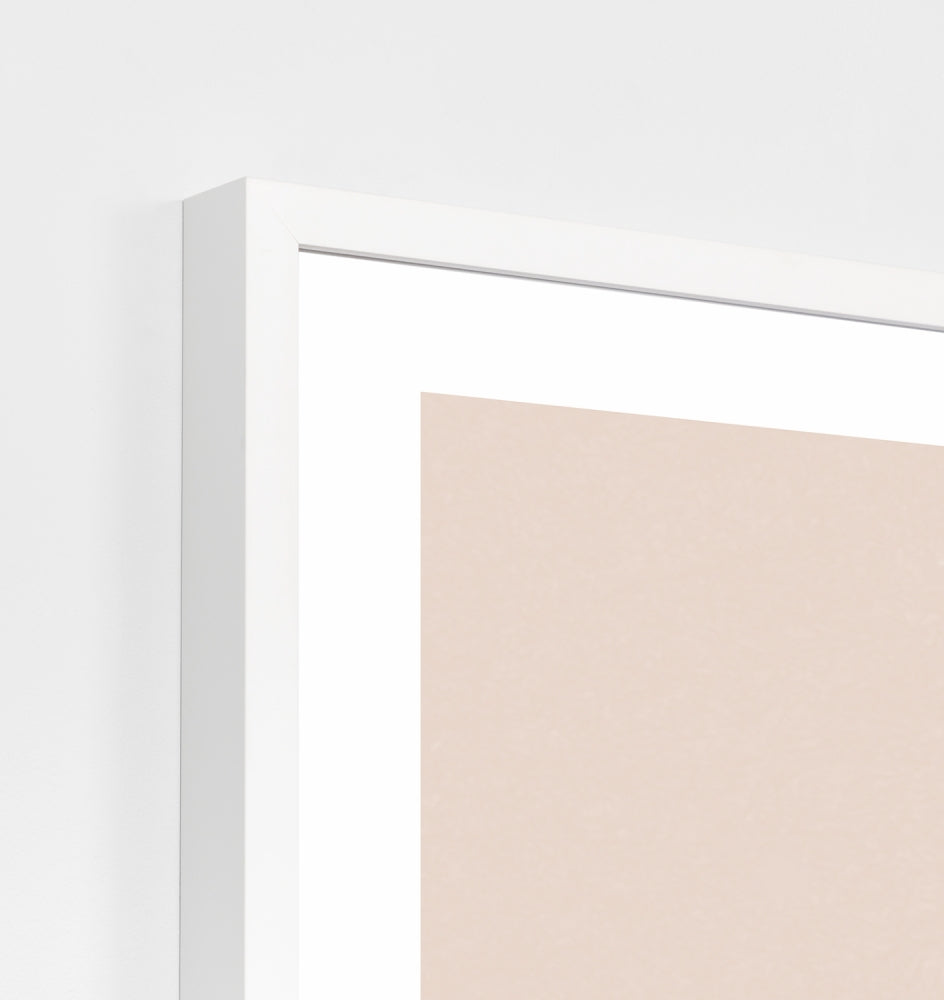 Torn Blush 2 Print