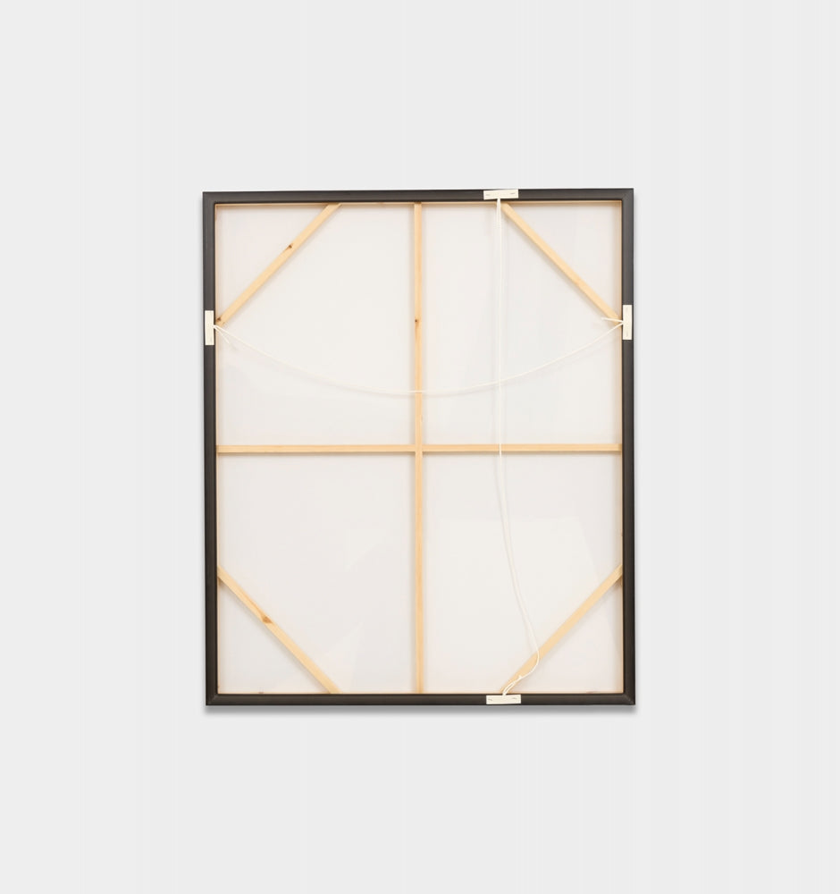 Xander Black 2 Framed Canvas